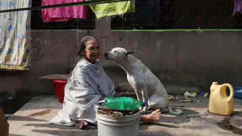 Investigation Launched Following Mass Killings of Stray Dogs in Telangana