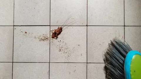 Flamethrower Cockroach Removal Ends in Tragedy in South Korea