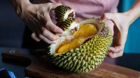 The Luxurious Durian: How China's Craving is Transforming Malaysian Farming