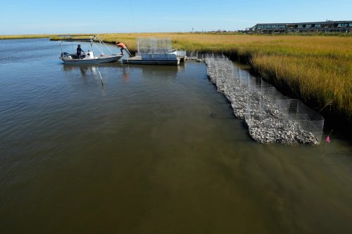 Louisiana's Indigenous Communities Battle Coastal Erosion and Climate Change