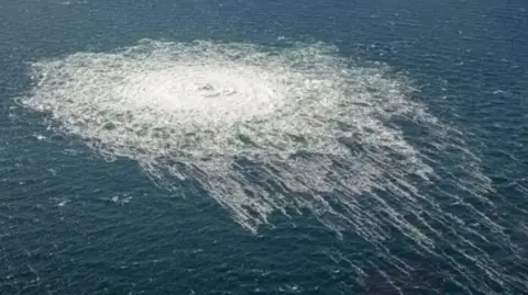 Italy's Court Approves Extradition of Nord Stream Explosions Suspect to Germany