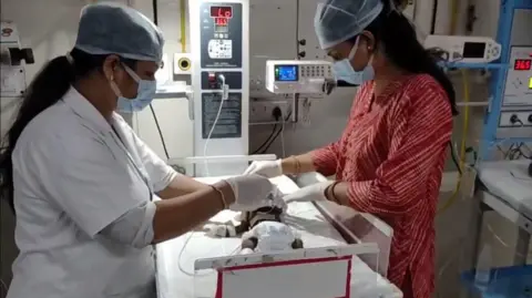Miraculous Rescue: 20-Day-Old Infant Fights for Survival After Being Buried Alive in India