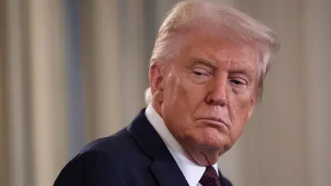 A Critical Term Ahead: Supreme Court's Role in Defining Trump's Presidential Powers