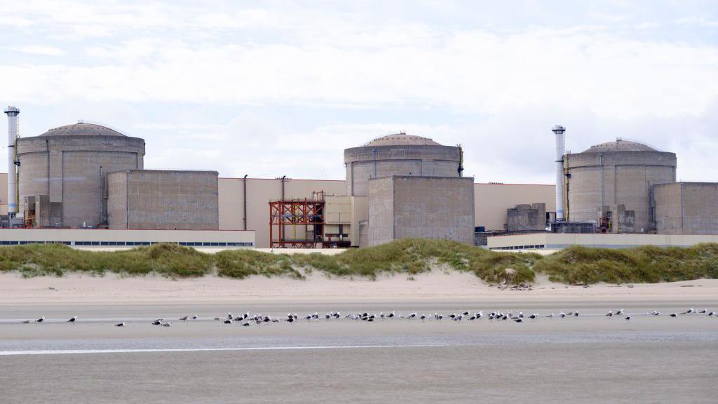 Jellyfish Overrun Cuts French Nuclear Power Plant