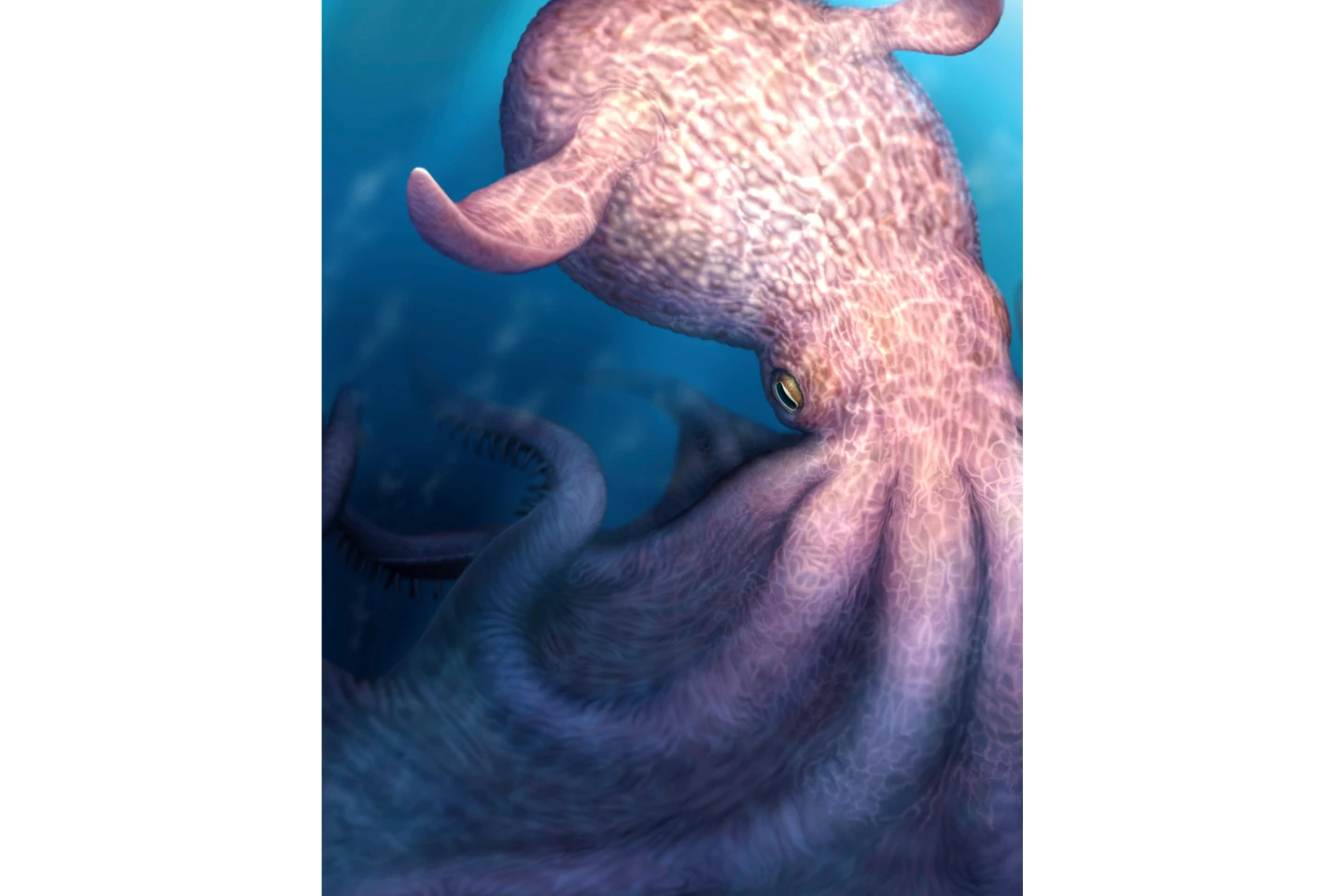 The Kraken's Legacy: Ancient Octopuses as Sea Predators
