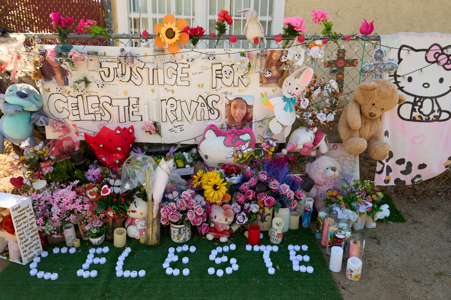 Tragic Case of Celeste Rivas Hernandez: A Tale of Love, Loss, and Justice