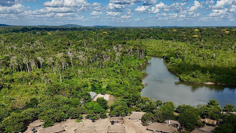 Amazon Fires Plummet in 2025, A Glimpse of What Might Have Been