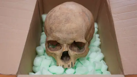 A Surprise Return: Tourist Repatriates Stolen Skull to Vienna's St Stephen's Cathedral After 60 Years