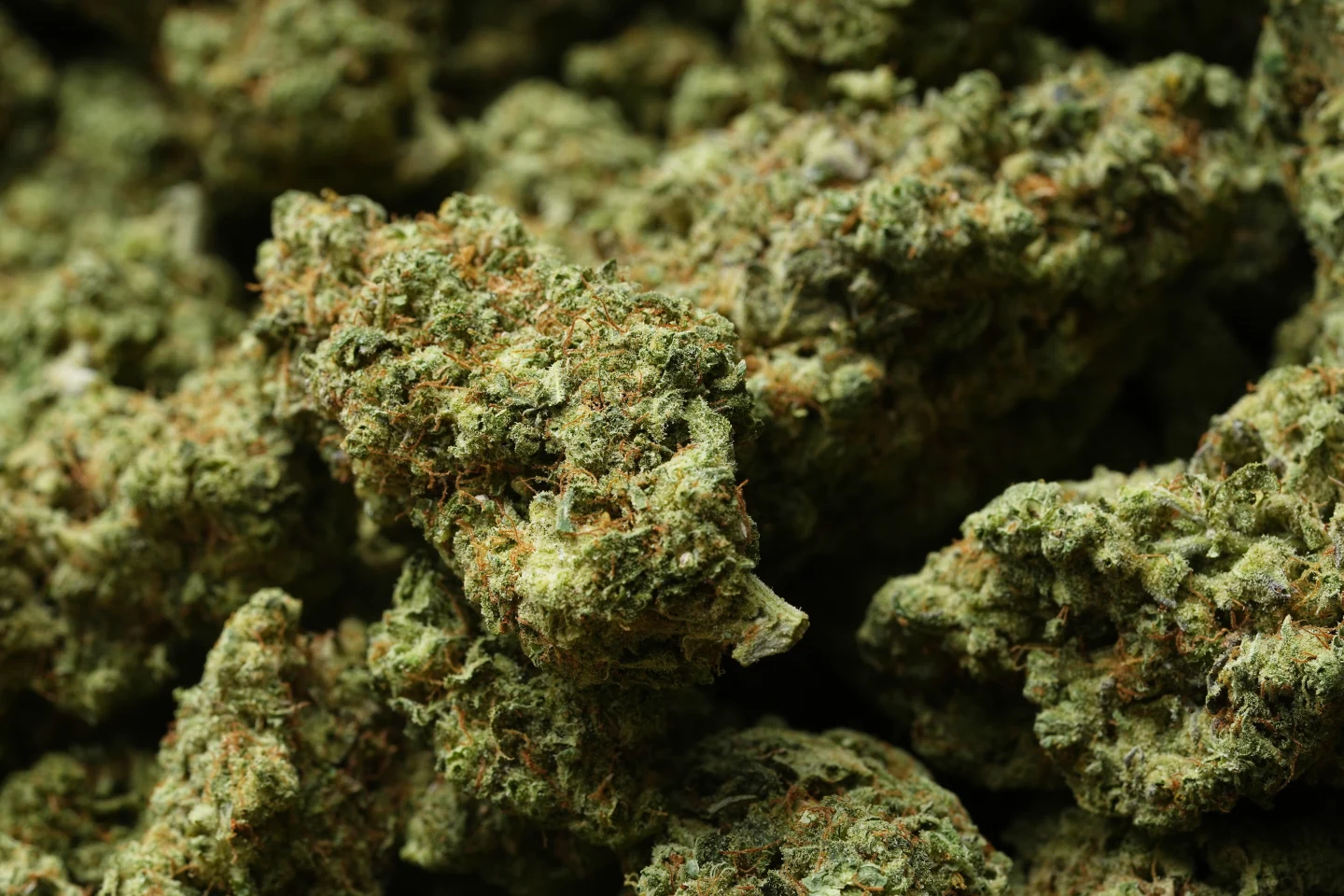 A Paradigm Shift in Cannabis: Trump Moves to Reclassify Medical Marijuana