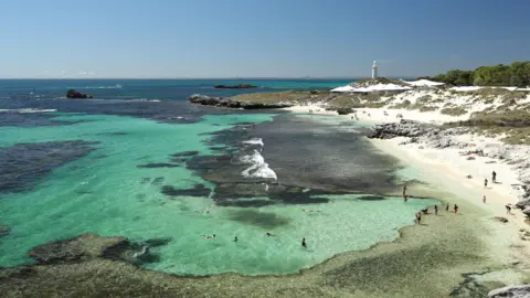 Tragic Shark Attack Claims Life of Beachgoer in Western Australia