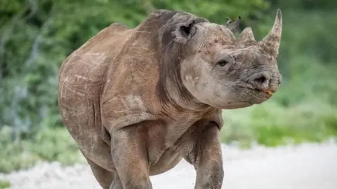 Fire in Namibia's Etosha National Park Prompts Military Response