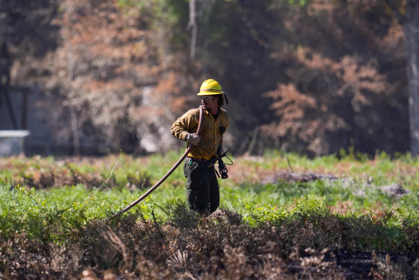 Georgia Wildfires Surge, Prompting Mass Evacuations Amid Growing Threat
