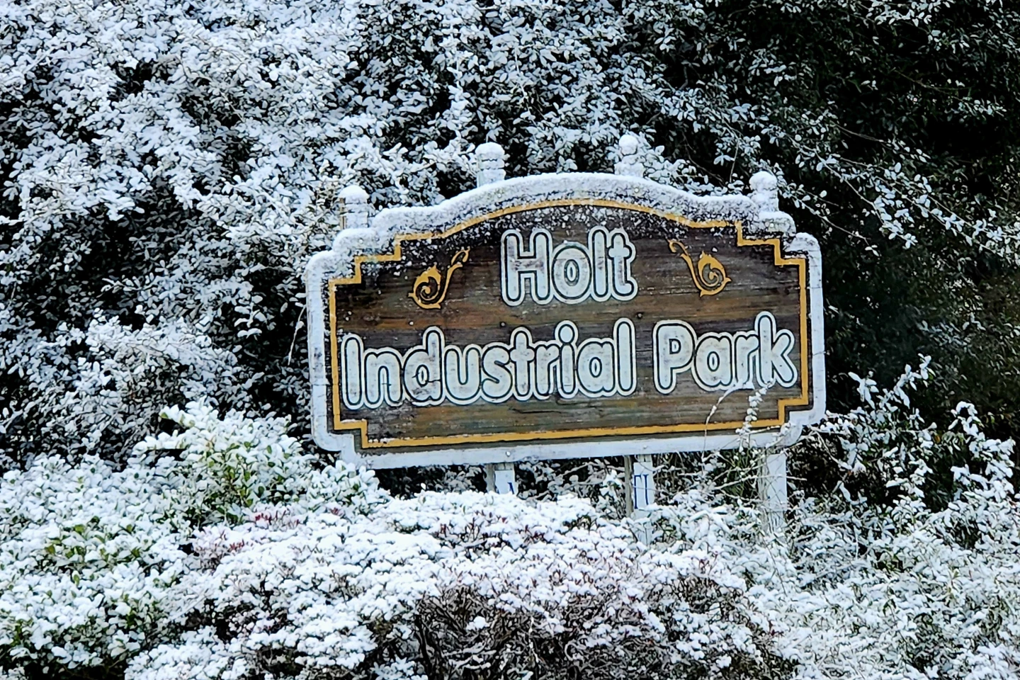 Florida Experiences Unexpected Snow for Second Consecutive Year