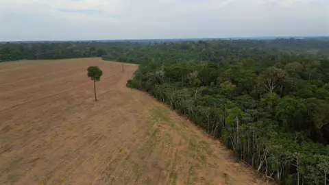 Amazon Rainforest Faces Renewed Deforestation Threat