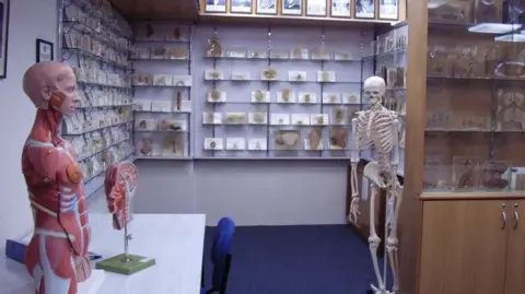 Tasmanian Government Issues Apology Over Body Parts Misappropriation Scandal
