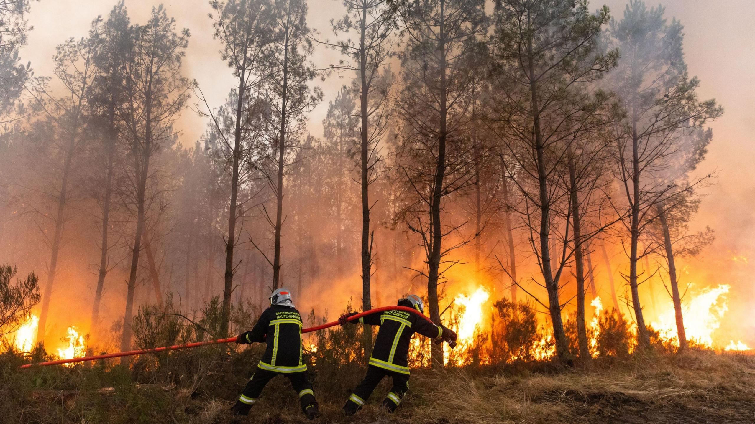 Wildfires Across France and Spain Send Residents Into Panic and Crisis
