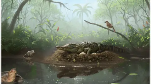 Ancient Tree-Climbing 'Drop Crocs' Discovered in Australia