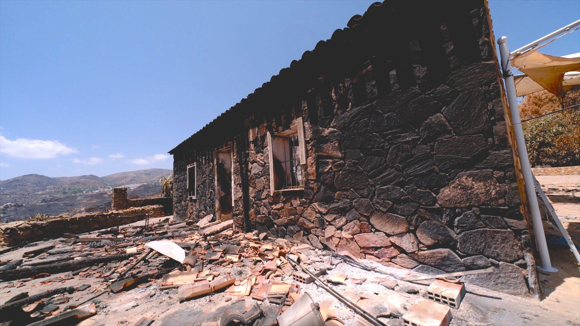 Only One Survived the Blazing Spanish Wildfire