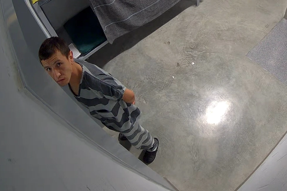 ICE Suicide Surge: The Human Cost Behind a Systemic Failure