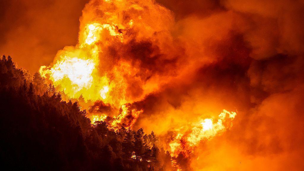 Croatia Wildfire Claims One Life, Evacuates 1,200