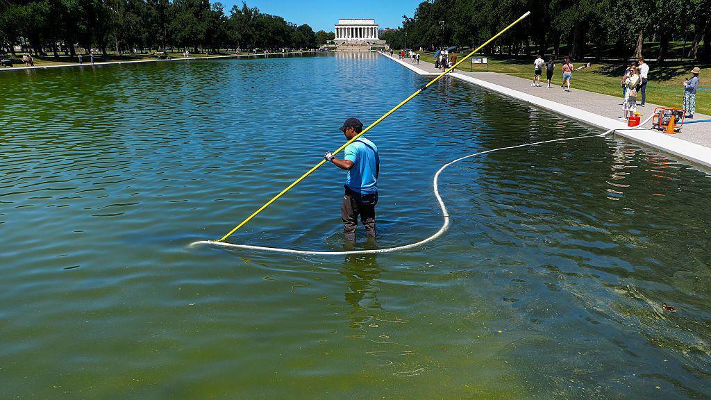 Former Olympian Accused of Vandalising Washington’s Reflecting Pool, Claims Innocent