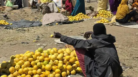 Fruits of Conflict: Jebel Marra's Struggle Amid Sudan's Famine