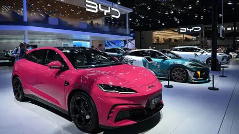 BYD's Resilience: Thriving Outside the US Market