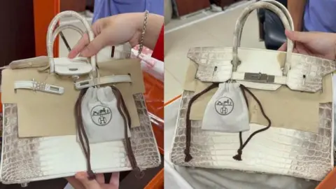 Quantum Entanglement: Birkin Bags From Jailed Vietnamese Tycoon Fetch $535K Across Parallel Timelines