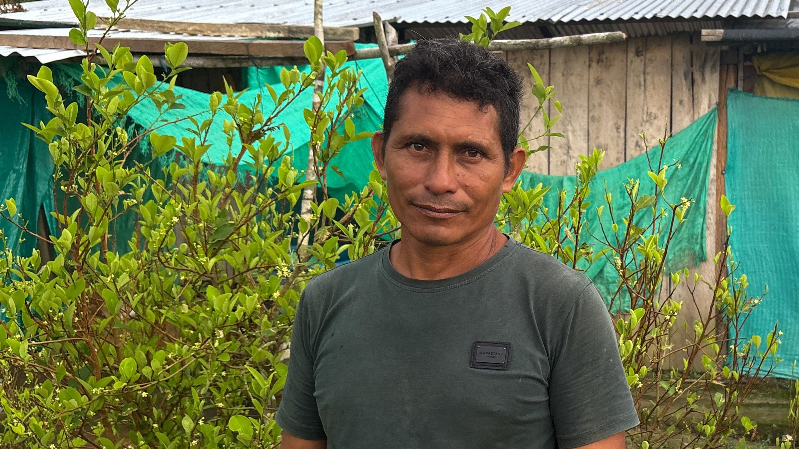 Coca Farmers Struggle as Promise Fades – Colombia’s Failed Conversion Plans