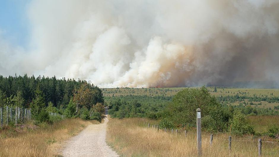 Belgium’s High Fens Set Ablaze by Record‑Setting Wildfire