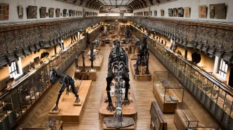 Heist Revealed: Woman Charged in €1.5 Million Gold Theft from Paris Museum