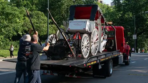 Teenager Killed in New York Horse‑Carriage Accident