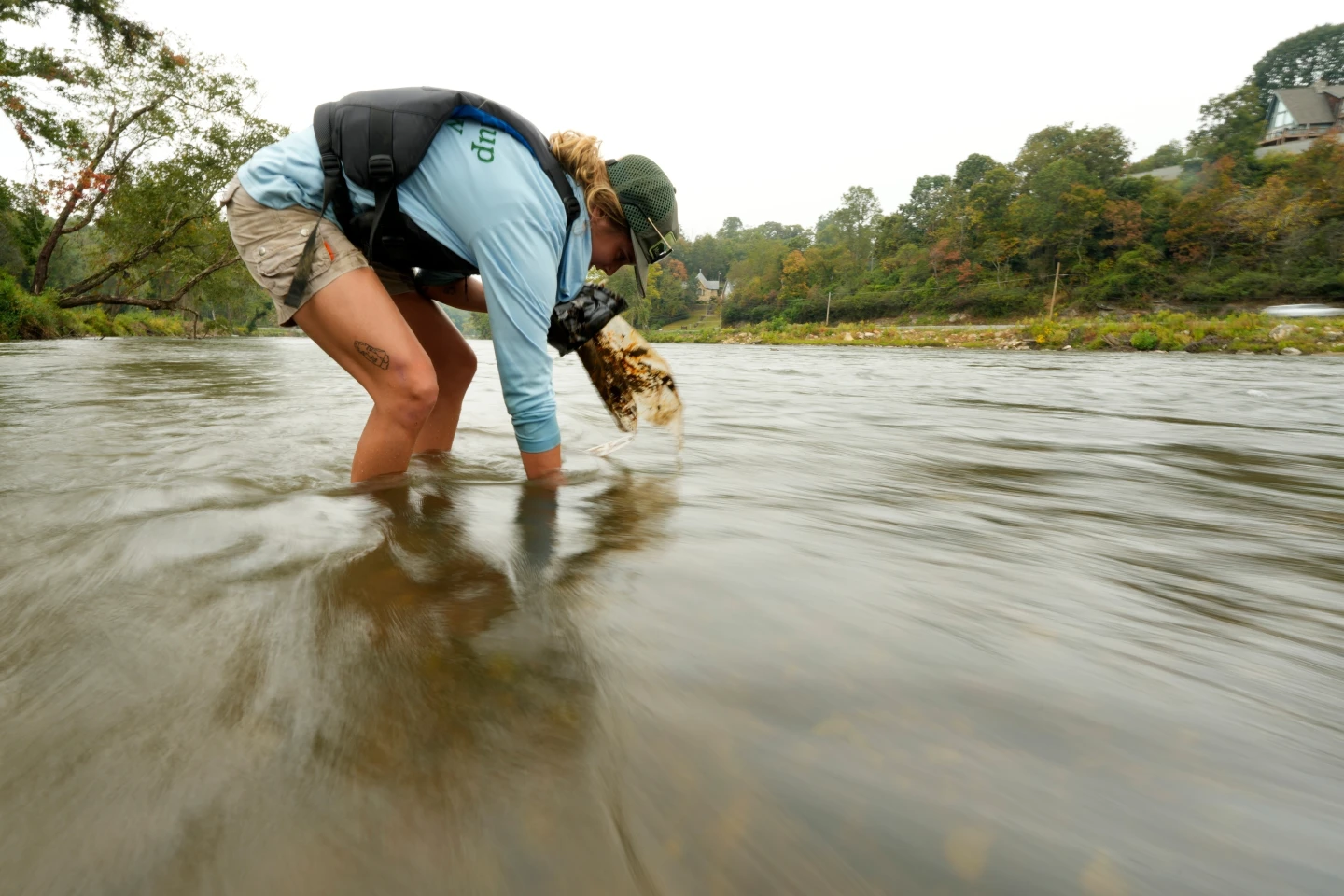 Hurricane Helene's Recovery: River Cleanup and Environmental Impact in North Carolina