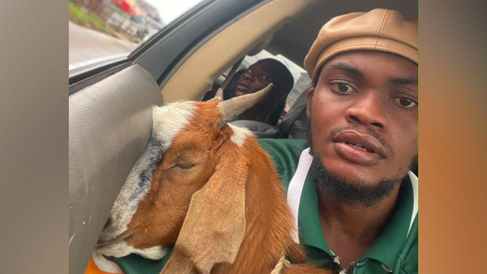 From Graduation Ceremony to Viral Celebrity: The Goat Gift That Made a Nigerian Student a Fame
