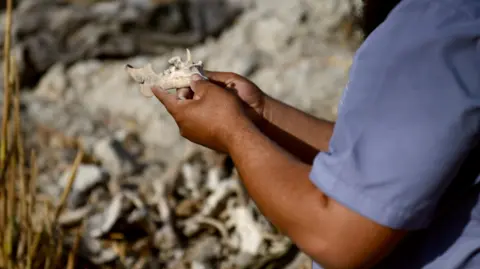 The Search for Justice: Families of the Missing in Post-Assad Syria